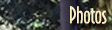 photos button
